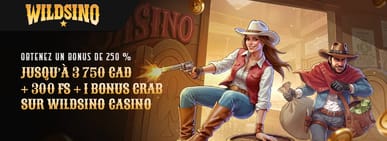 Aller sur wildsino et obtenir son bonus de beinvenue